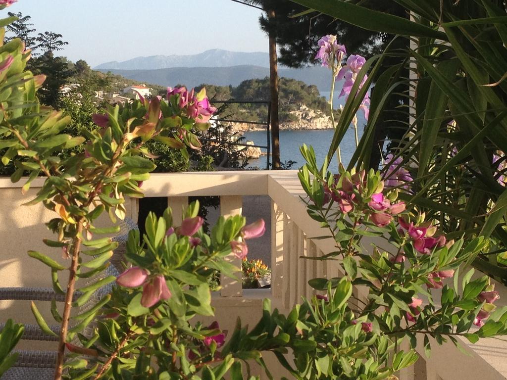 Apartments Talija Drasnice Δωμάτιο φωτογραφία